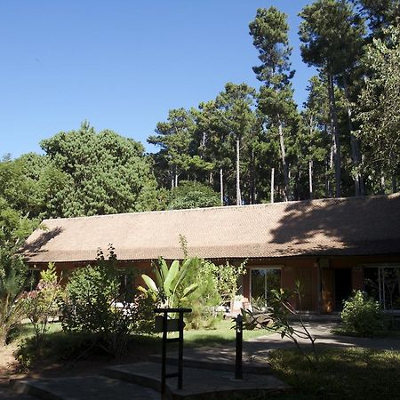 Hotel Lodge Au Bois Vert Antananarivo International Airport Ivato Exteriör bild